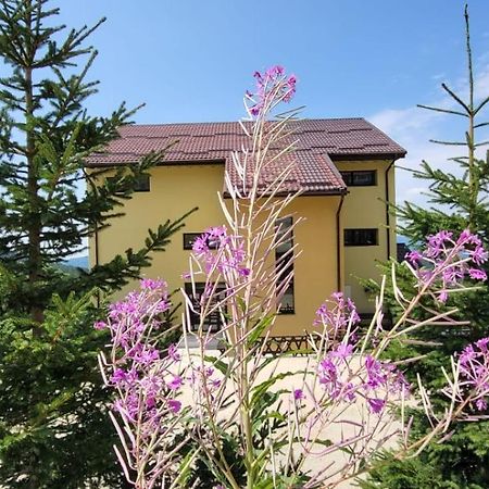 Pension Valea Mariei Рынка Экстерьер фото