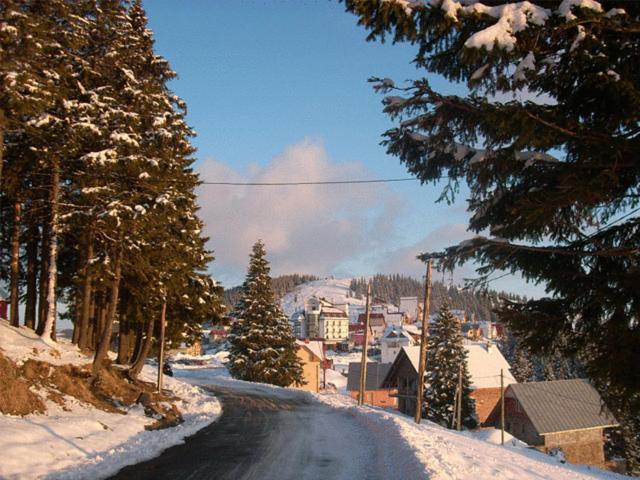 Pension Valea Mariei Рынка Экстерьер фото
