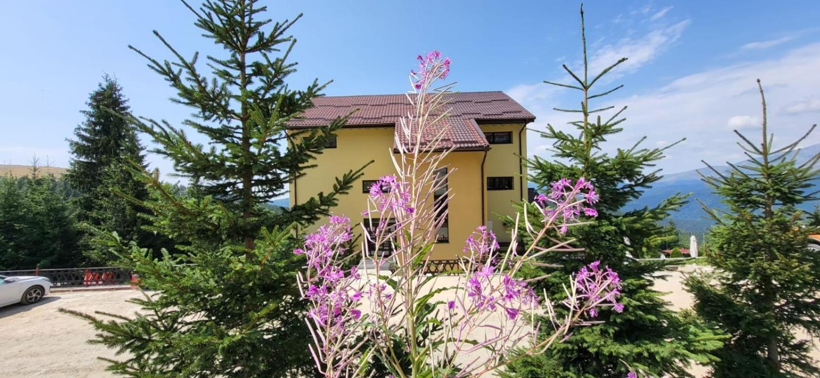 Pension Valea Mariei Рынка Экстерьер фото