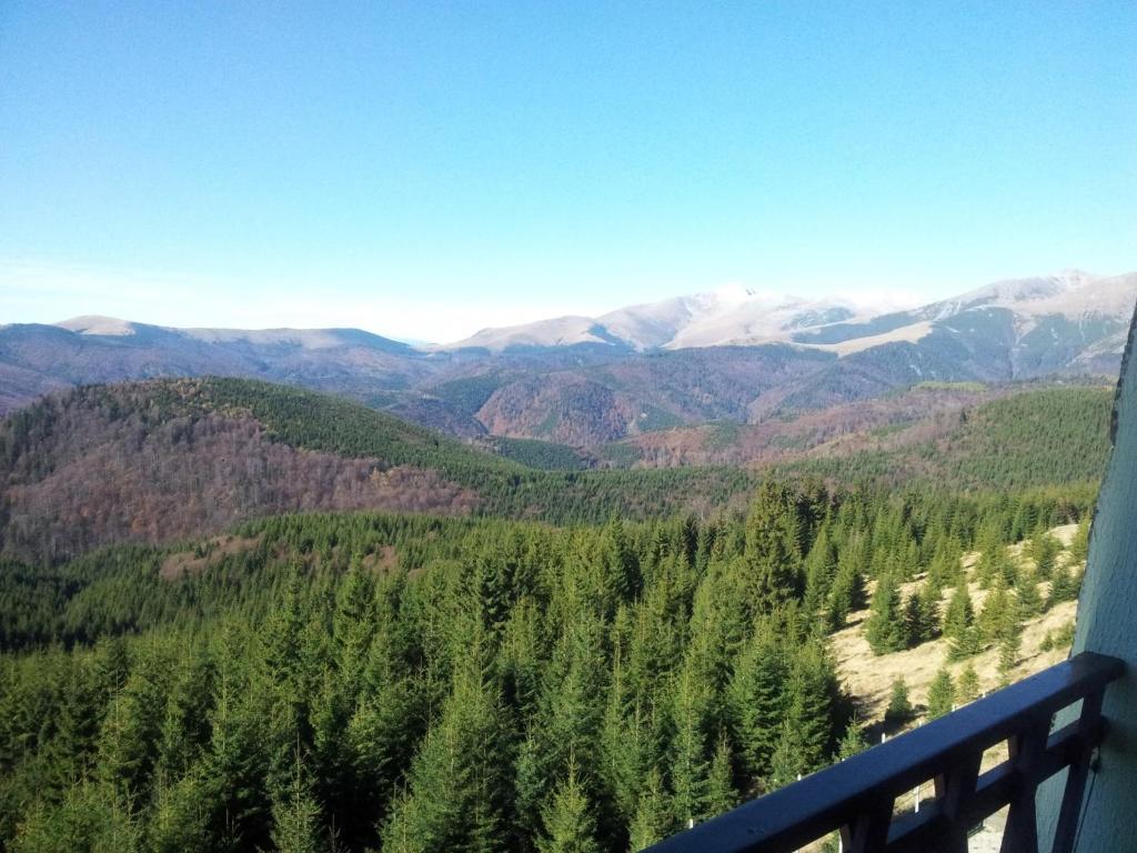 Pension Valea Mariei Рынка Номер фото