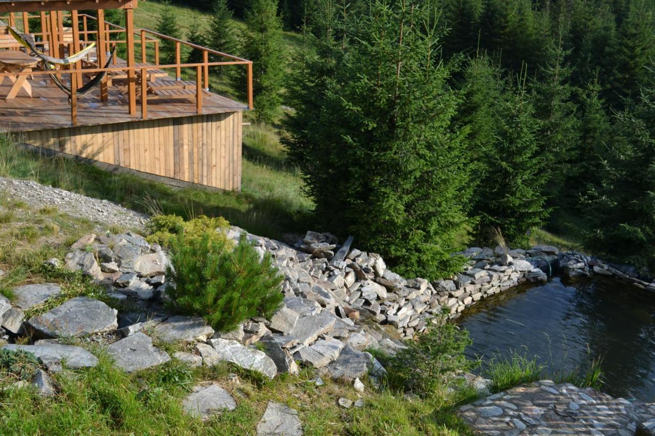 Pension Valea Mariei Рынка Экстерьер фото